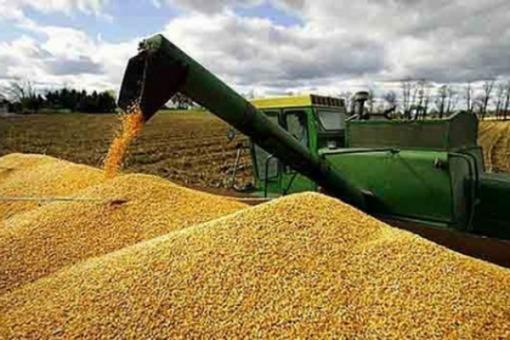 El agro salteño enfrenta desafíos críticos por costos y presión fiscal
