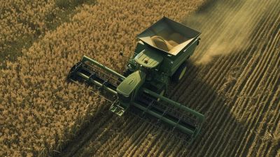 Disminuyen las calificaciones del trigo de invierno en las llanuras de EE. UU.: ¿Cómo impacta en el mercado global?