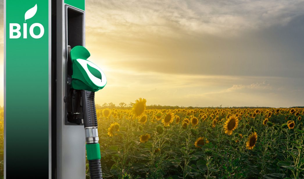 Presión al precio del gasoil: autorizan la primera suba del año en el valor del biodiesel
