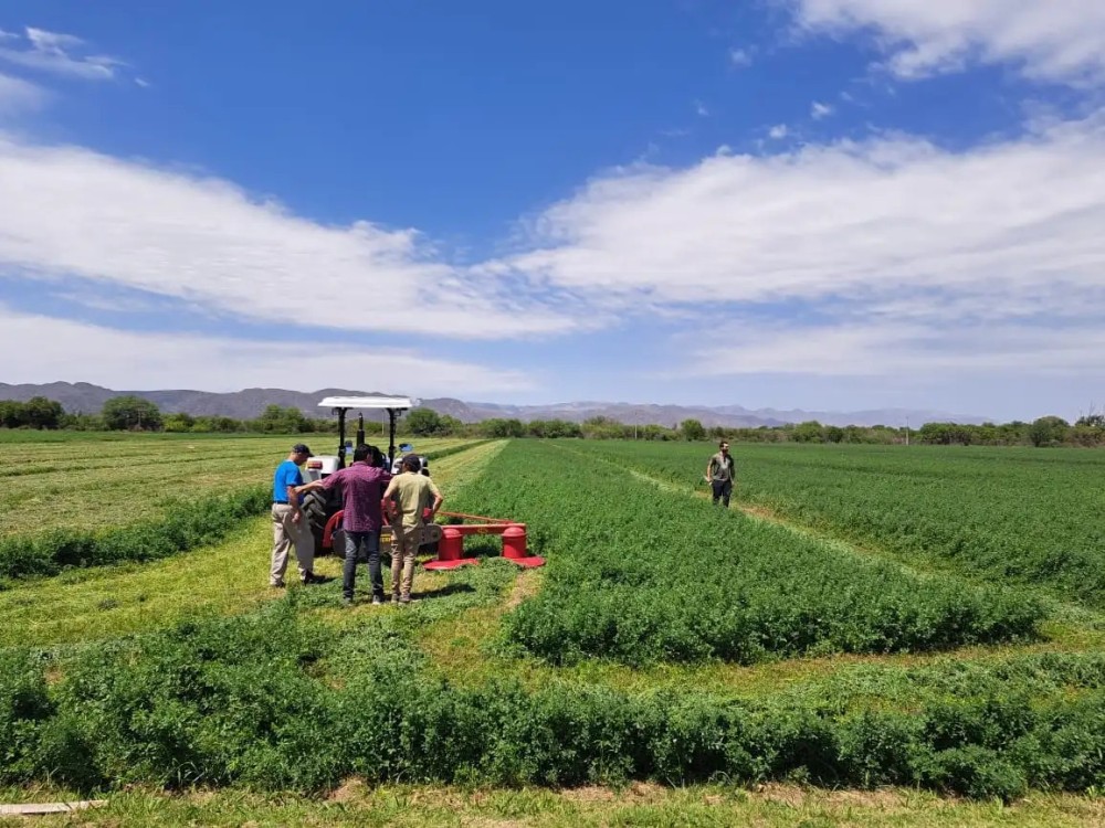 San Juan lidera la consolidación de un clúster semillero en el norte de la provincia