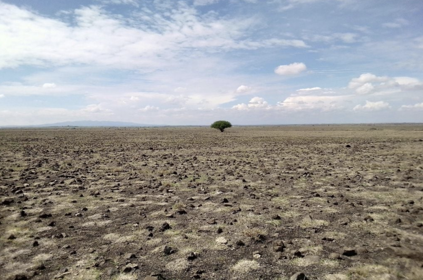 El 77% de las tierras del mundo se están secando y los suelos son cada vez más salados: un desafío global para la producción de alimentos