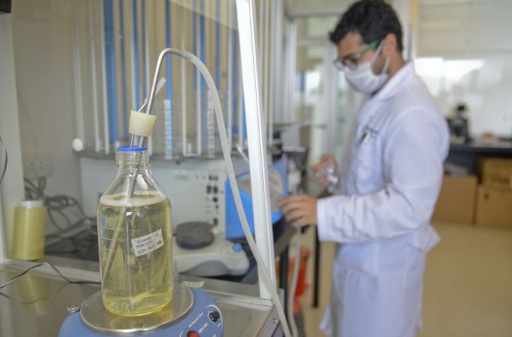 El Gobierno Nacional aprobó en 2024 la mayor cantidad de productos biotecnológicos en casi 30 años
