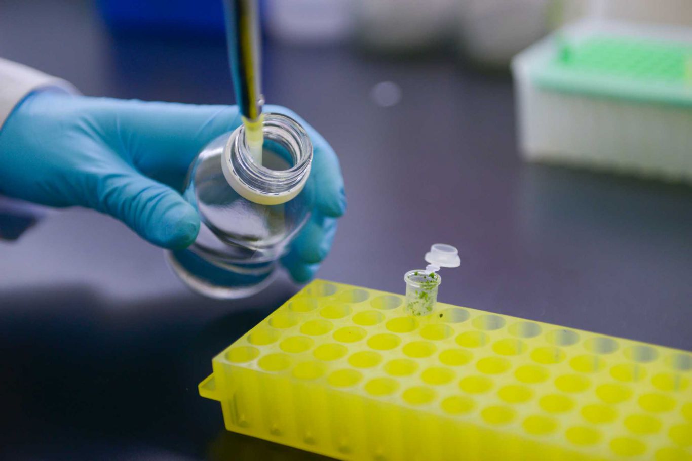 El Gobierno Nacional aprobó en 2024 la mayor cantidad de productos biotecnológicos en casi 30 años