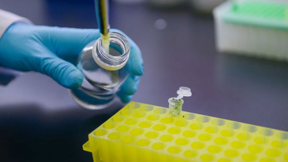 El Gobierno Nacional aprob en 2024 la mayor cantidad de productos biotecnolgicos en casi 30 aos