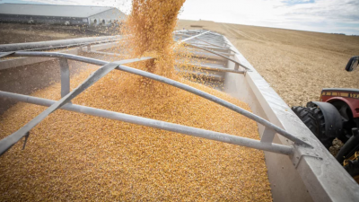 Aumento de precios del maíz: agricultores estadounidenses aprovechan para vender