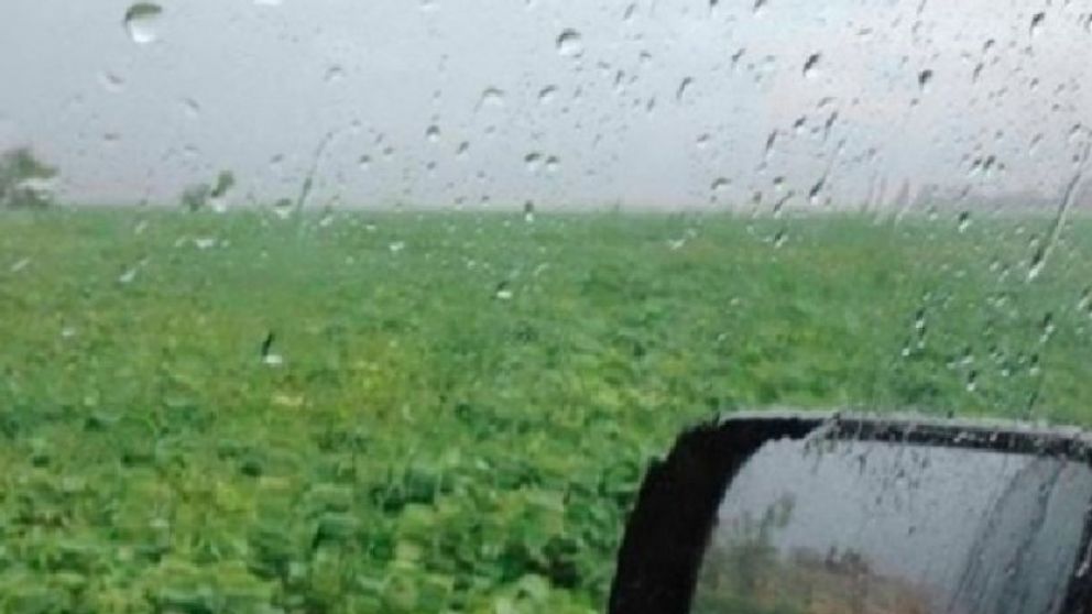 Las recientes lluvias "punto de inflexin" para los cultivos de soja y maz
