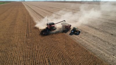 Alerta en el agro: la entrega de soja en Argentina toca su piso más bajo en 11 años