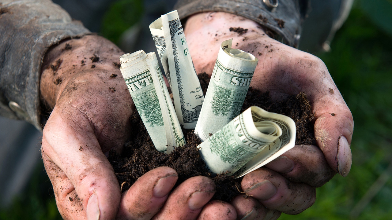 Estrategias clave para maximizar ganancias agrícolas en el mercado de EE.UU. en tiempos de márgenes ajustados