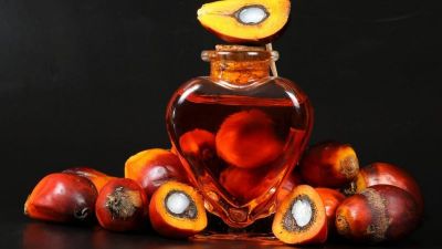 La demanda de aceite de palma de China e India podría aumentar en los próximos dos meses,