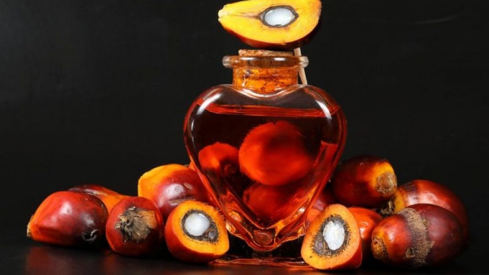 Las importaciones de aceite de palma de la UE disminuyen