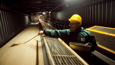 Reducción de derechos de exportación: impacto en divisas, precios y mercado agrícola argentino