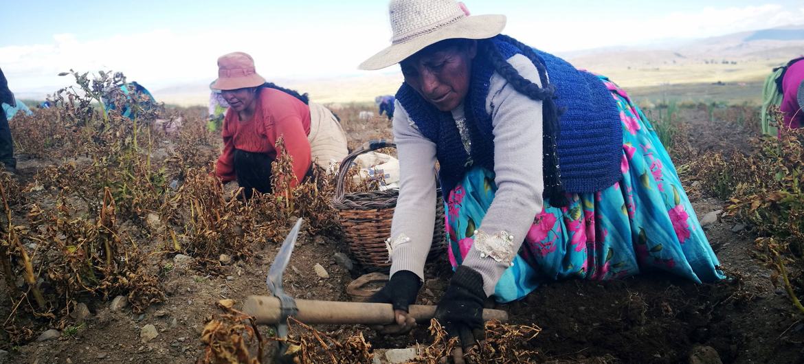 Clima extremo y hambre: un desafío creciente para América Latina y el Caribe