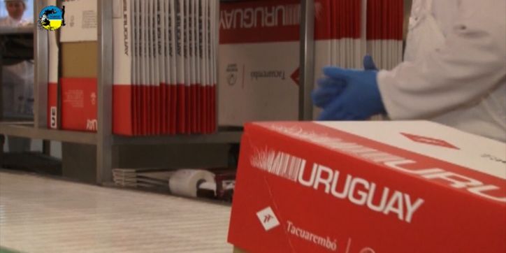 Uruguay avanza en el mercado global: Filipinas habilita el ingreso de carne vacuna