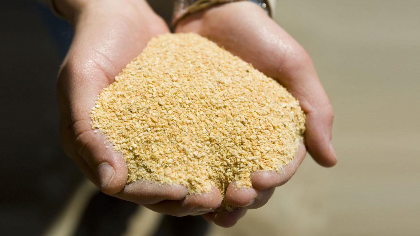 Detectan harina de soja adulterada en puerto de Brasil: transportaba arena