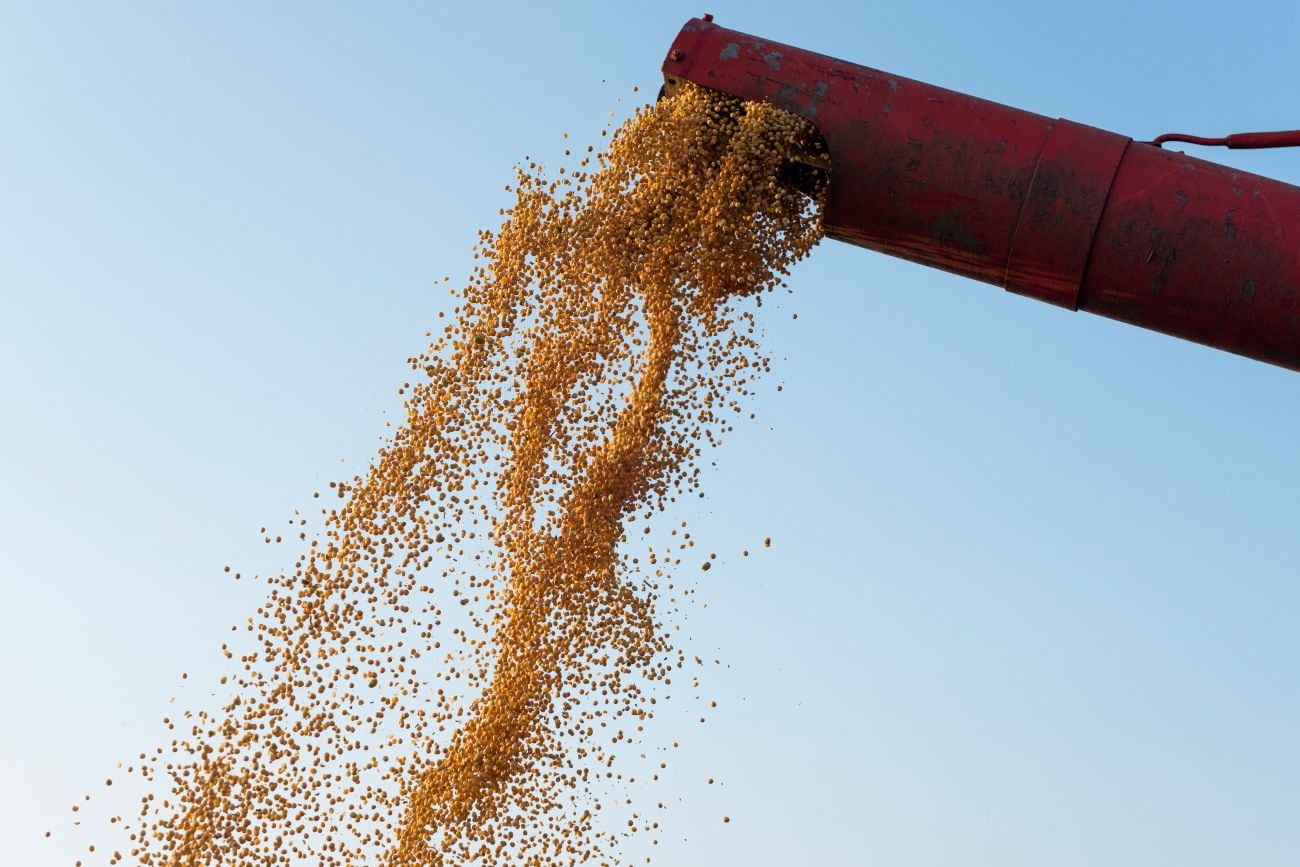 Inquietud en el agro: la baja de retenciones no se traduce en precios claros