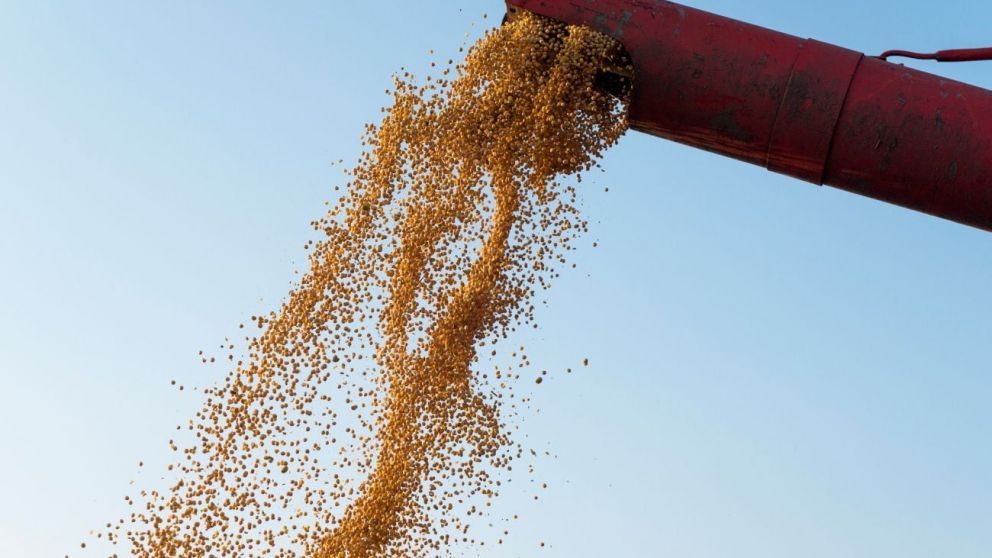 Inquietud en el agro: la baja de retenciones no se traduce en precios claros