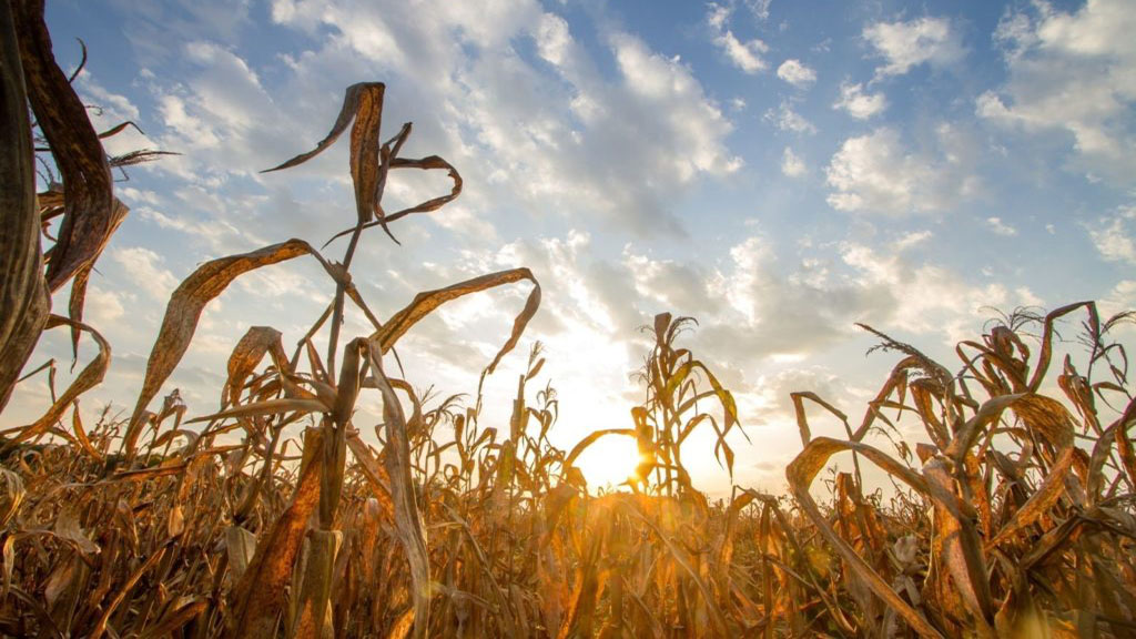 Cumbre AgroGlobal: líderes del agro de siete países se reúnen en el Congreso para debatir el futuro del sector