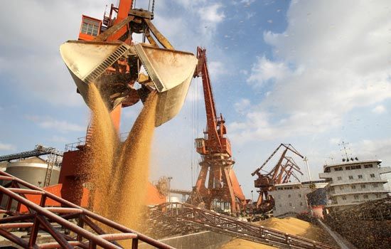 Maíz lidera las ventas en el mercado local mientras la soja alcanza los $310.000: incertidumbre por aranceles de Trump y clima en Sudamérica