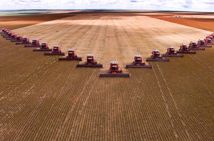 Maíz lidera las ventas en el mercado local mientras la soja alcanza los $310.000: incertidumbre por aranceles de Trump y clima en Sudamérica