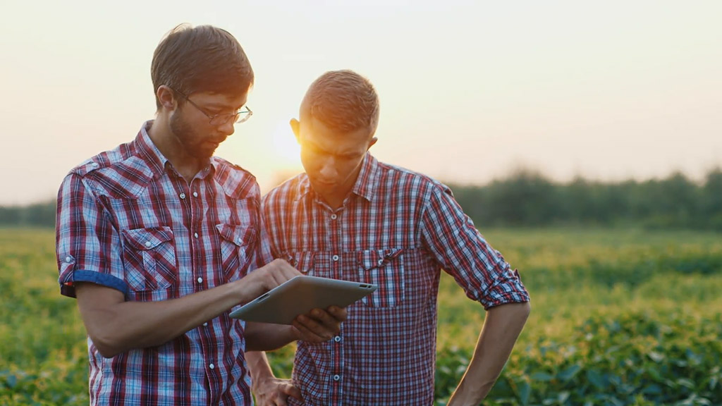 "¿Vale la pena seguir en el negocio de la agricultura? Consultores analizan el nuevo escenario"