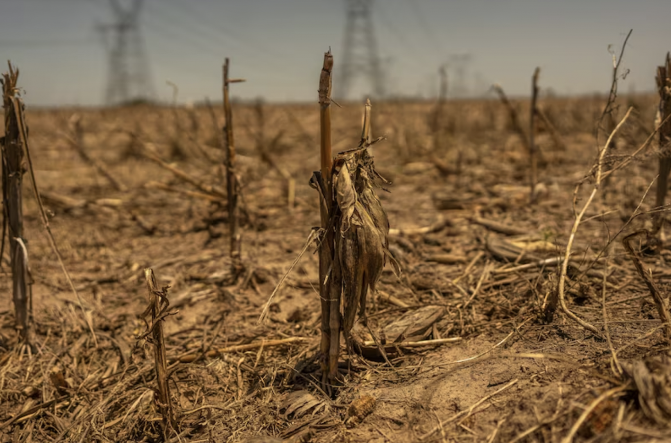 Megasequías afectan a seis continentes y ponen en riesgo la estabilidad global