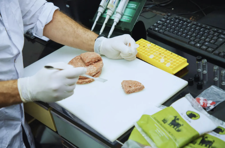 Carne de búfalo: una alternativa nutritiva y saludable según estudio del INTA