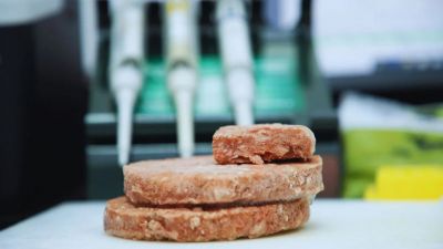 Búfalo, una carne alternativa de alto valor nutricional