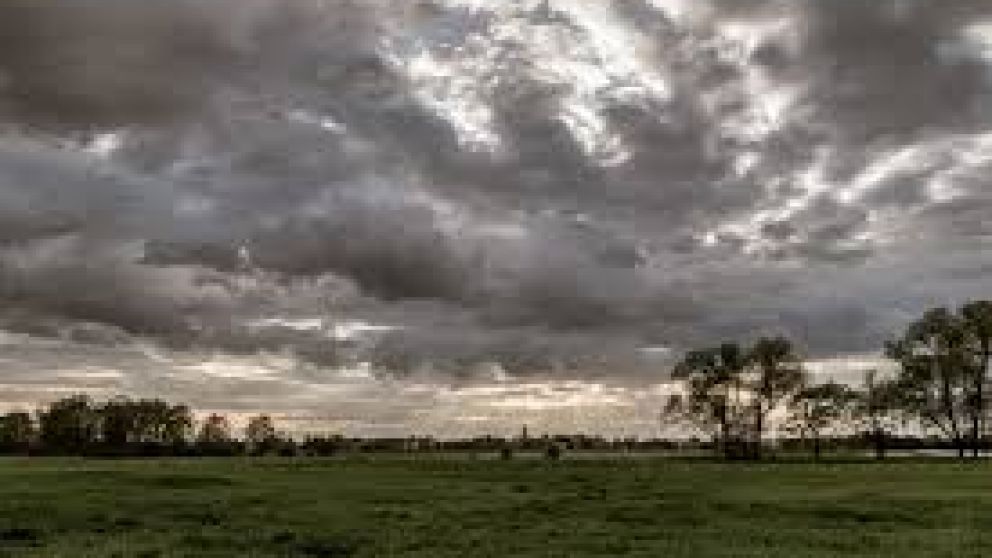 Lluvias alivian la zona ncleo: Precipitaciones disparas pero bien recibidas