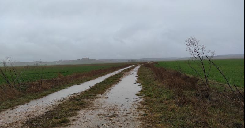 Lluvias generan alivio en la zona núcleo: más de 100 mm en varias localidades benefician a soja y maíz