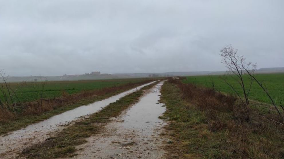 Lluvias generan alivio en la zona ncleo: ms de 100 mm en varias localidades benefician a soja y maz