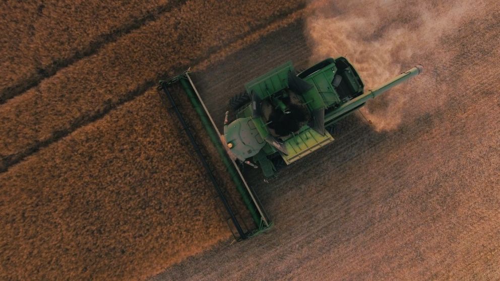 En Paraguay la cosecha de soja en Santa Rosa del Monday, registra prdidas del 30% por sequa