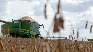 En Paraguay la cosecha de soja en Santa Rosa del Monday, registra pérdidas del 30% por sequía