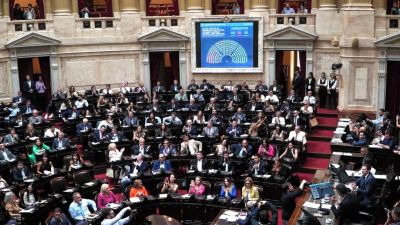Diputados dio media sanción a la supensión de las PASO 