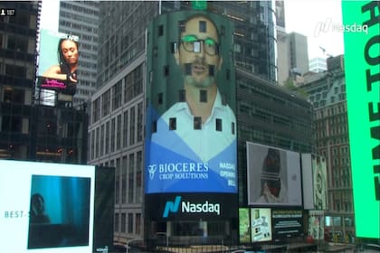 Bioceres sufre una caída del 17 % en Wall Street tras resultados por debajo de lo esperado