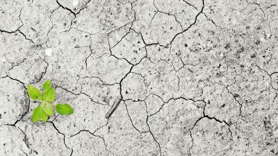 Balance de Carbono: ¿Cuál es el impacto del Agro argentino en el cambio climático?