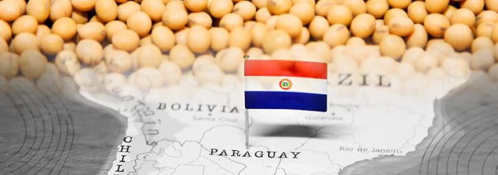 Productores de soja de Paraguay en alerta por altos descuentos aplicados por exportadores