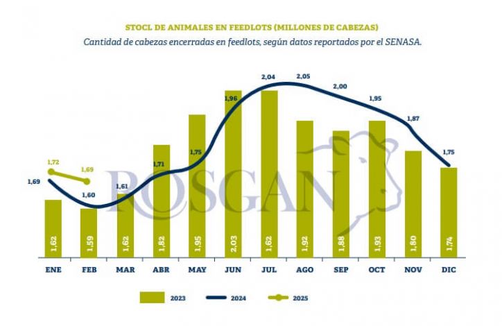 El precio de la hacienda supera al maíz y mejora la rentabilidad del feedlot