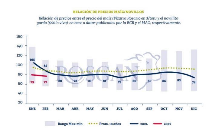El precio de la hacienda supera al maíz y mejora la rentabilidad del feedlot