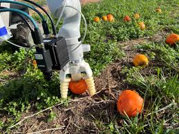 La robótica impulsa el crecimiento del mercado de aclareo de frutas hasta 2032
