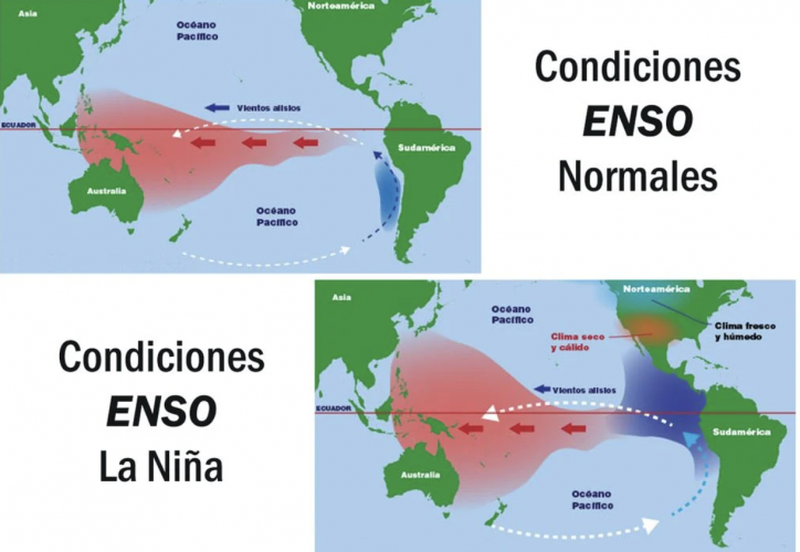 Bajo condiciones La Niña, los fuertes vientos sobre el Pacífico desplazan el agua caliente del mar hacia el oeste, llevando también las lluvias en esa dirección.