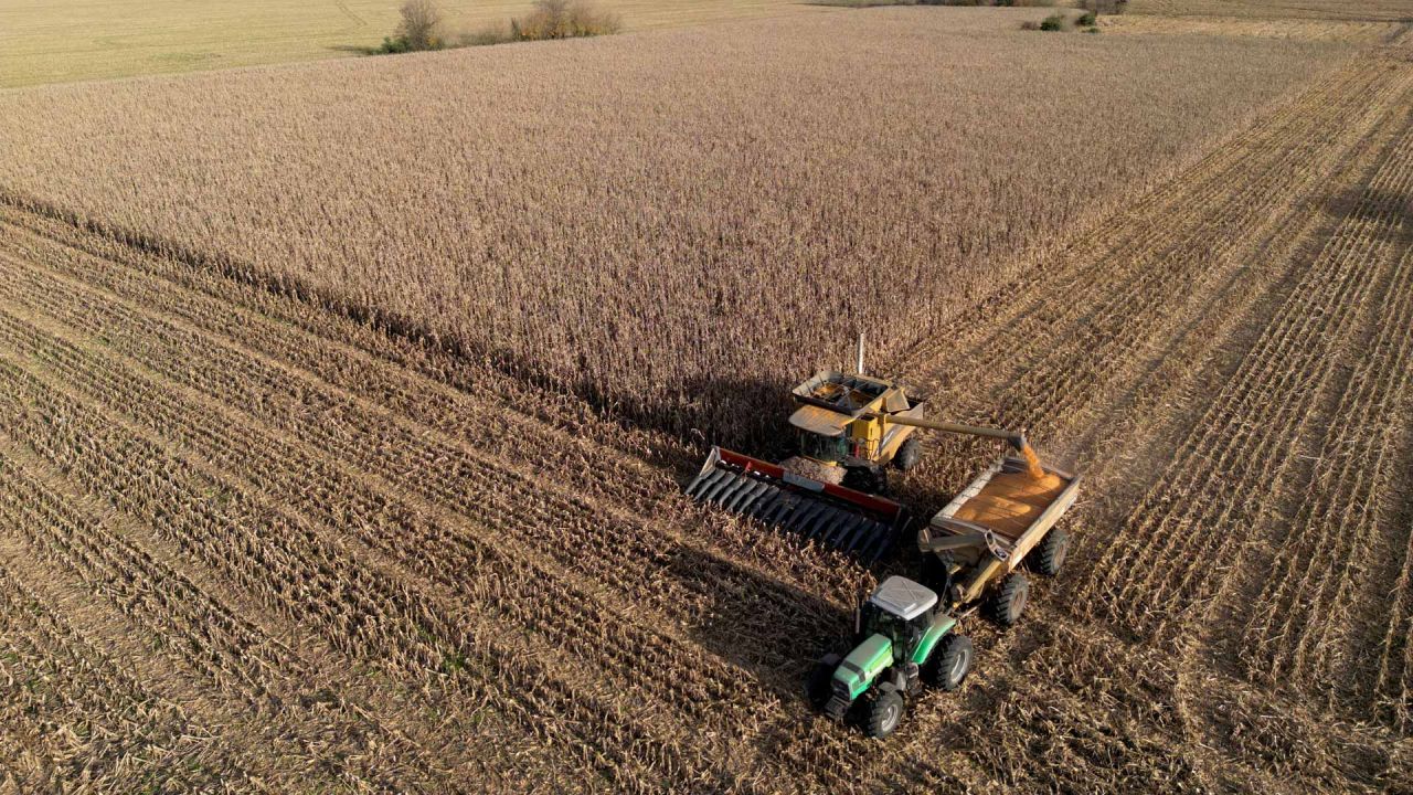 Soja en caída: ¿Se derrumba el pilar del agronegocio argentino?