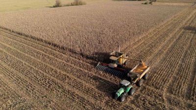 Soja en caída: ¿Se derrumba el pilar del agronegocio argentino?
