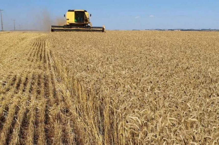 El frío que el campo esperaba: las heladas reactivan la siembra de trigo en la región núcleo