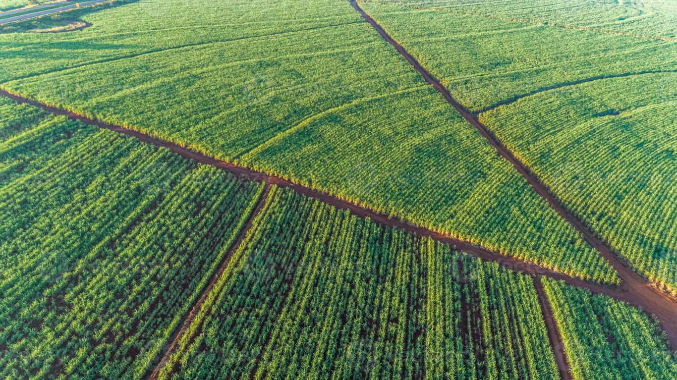 Tensión comercial entre EE.UU. y Brasil por aranceles al etanol