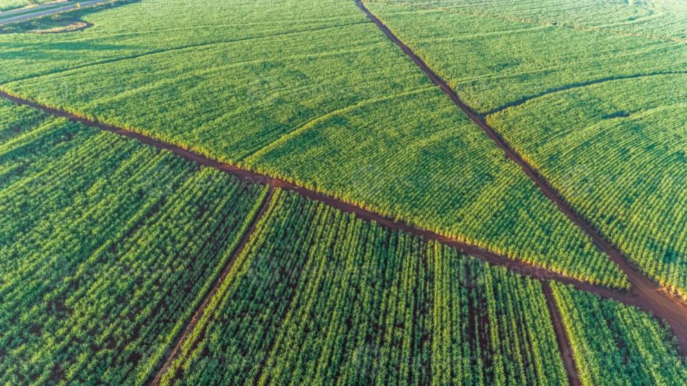 Tensin comercial entre EE.UU. y Brasil por aranceles al etanol