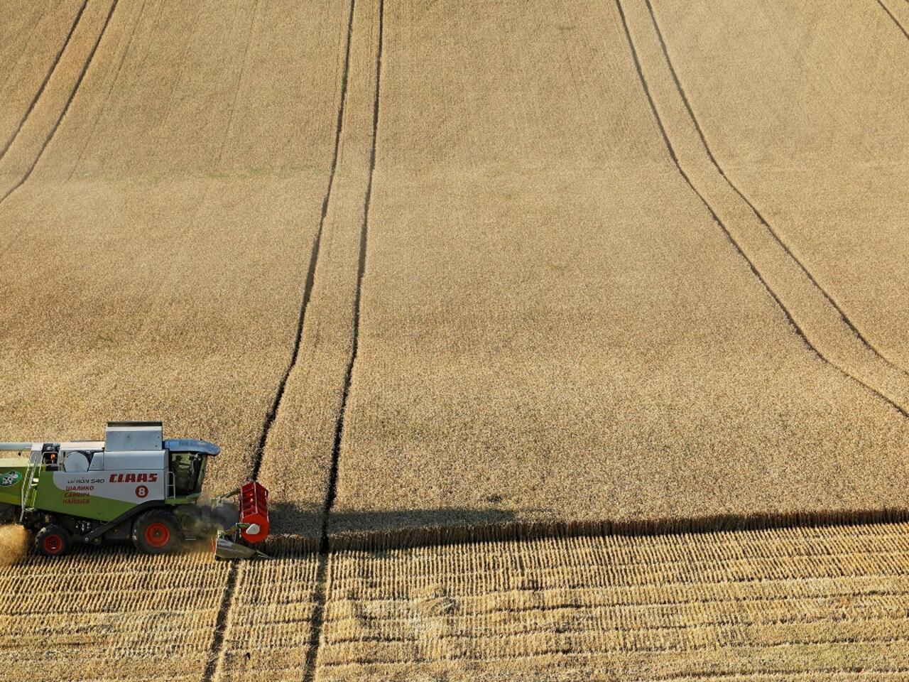 Rusia pierde liderazgo en el trigo: el impacto de las retenciones y la caída de la producción