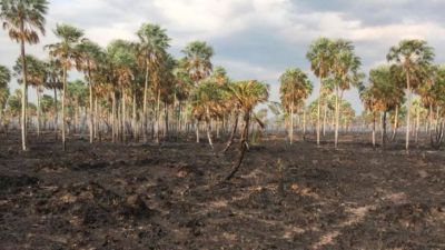 Formosa ante la sequía: estrategias y desafíos