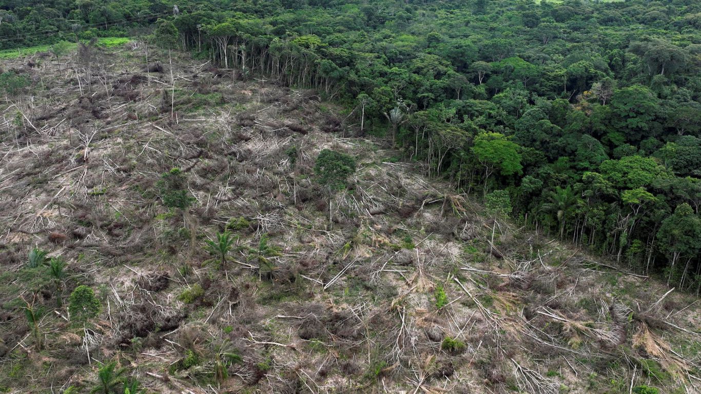 Brasil rechaza la normativa de la UE contra la deforestación en contratos de soja