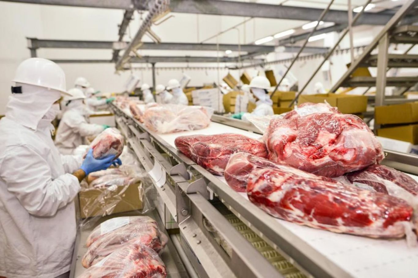 Paraguay busca duplicar exportaciones de carne vacuna a Marruecos y fortalecer cooperación agrícola