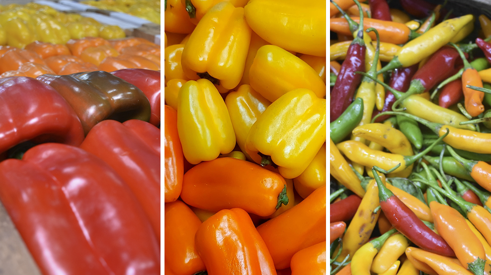 Buenas noticias : informan que hay gran oferta de pimiento